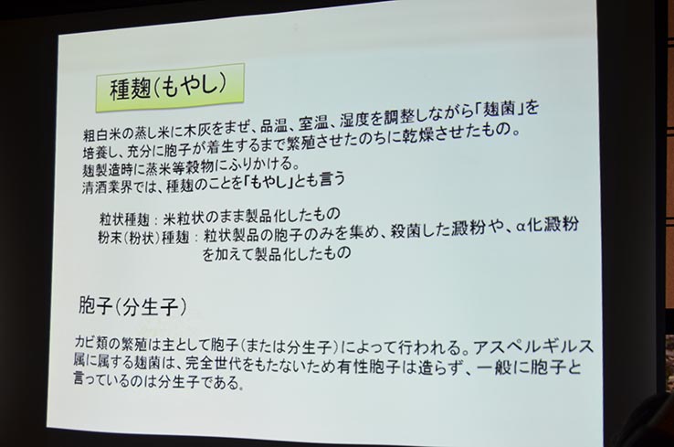 種麹（もやし）とは